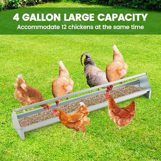Metal Chicken Feeder Chicken Feeding Trough with Drainage Holes-Silver-0