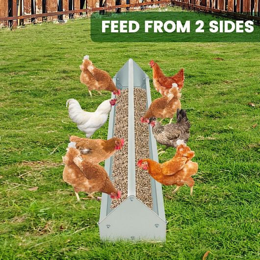 Metal Chicken Feeder Chicken Feeding Trough with Drainage Holes-Silver-1